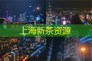夜上海,探访隐秘的夜店文化 夜上海,探访隐秘的夜店文化