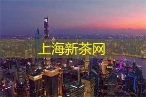 深入探讨上海的地方戏曲文化 深入探讨上海的地方戏曲文化